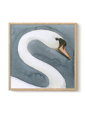 Druck - Swan Head