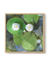 Druck - Water Lily