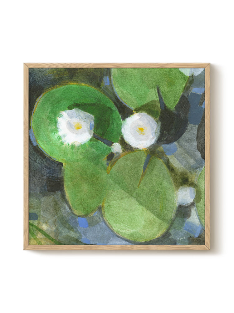 Druck - Water Lily