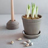Blumentopf mit Untersetzer  - Helena  pearl grey