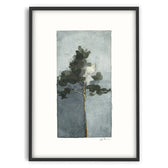 Druck - Pine II