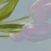 Druck - Tulipaner