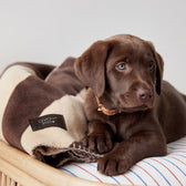 Hundedecke Kaya Large - in versch. Farben