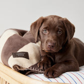Hundedecke Kaya Large - in versch. Farben