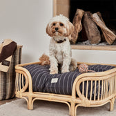 Hundehalsband Robin Small - in versch. Farben