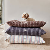 Hundehalsband Robin Small - in versch. Farben