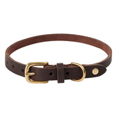 Hundehalsband Robin Medium - in versch. Farben