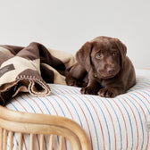 Hundedecke Kaya Small - in versch. Farben