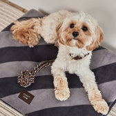 Hundedecke Kaya Small - in versch. Farben