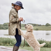 Hundehalsband Robin Extra Large - in versch. Farben