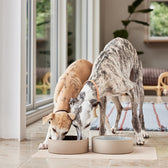Hundehalsband Robin Extra Large - in versch. Farben