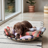 Hundeknochen Ashi Small - in versch. Farben