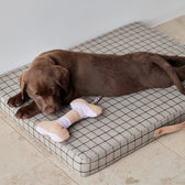 Hundeknochen Ashi Large - in versch. Farben