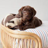Hundebett Eight Medium - nature