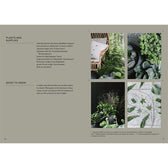 Buch - The Potted Garden - All Year Round