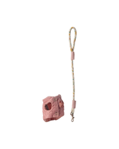 Welpen-Geschirr mit Leine - Rose