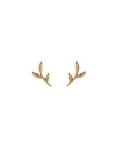 Ohrstecker Crisp - gold