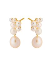 Ohrstecker Ocean Treasure - gold