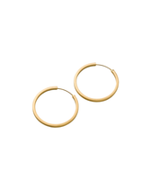 Hoops Circle Line - gold