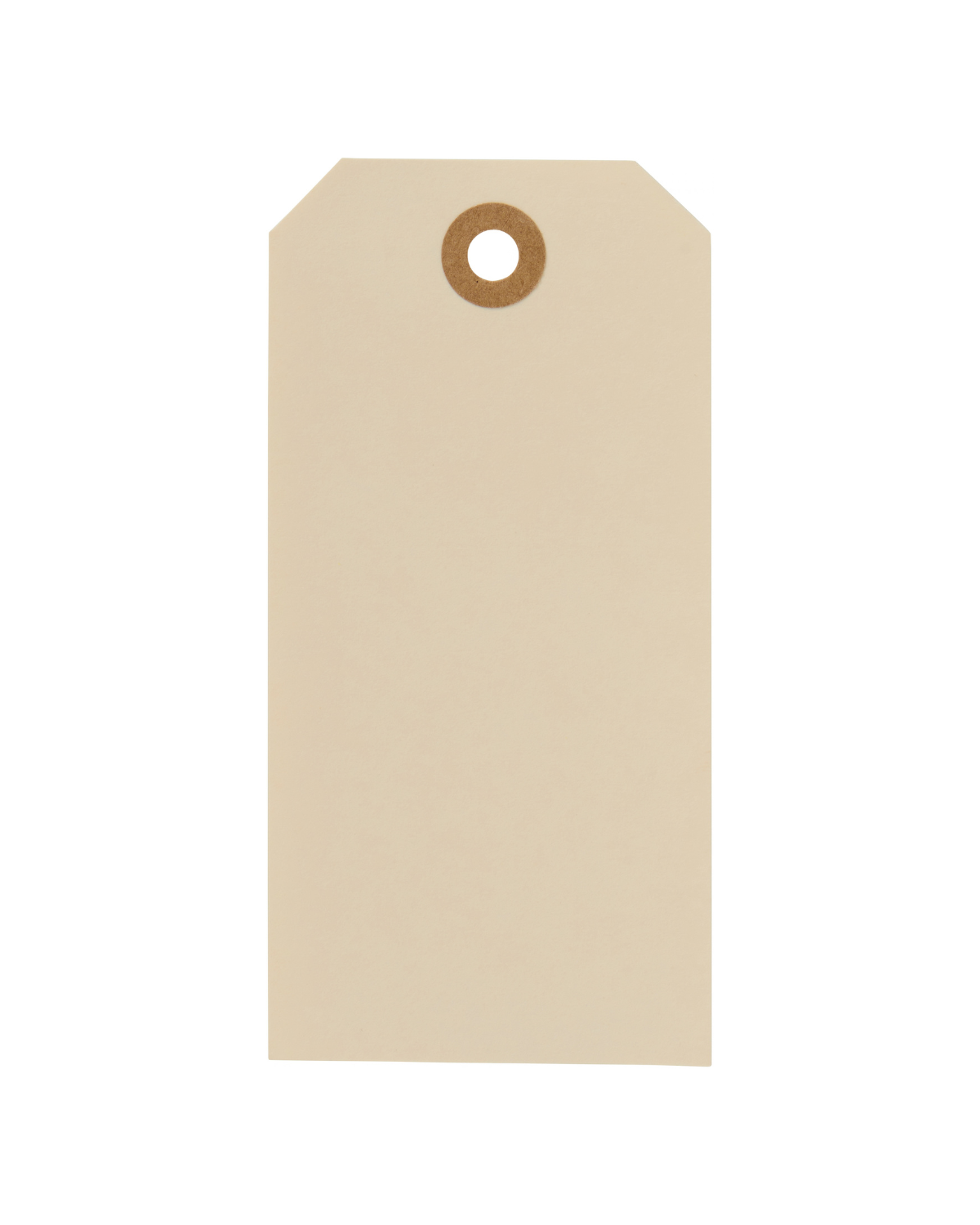 Geschenkanhänger aus Papier - Natur