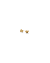 Mini Wild Poppy Ohrstecker - gold