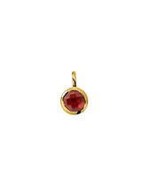 Anhänger Beloved Birthstone - gold