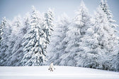 The Art of Skiing. Die schönsten Pisten der Welt