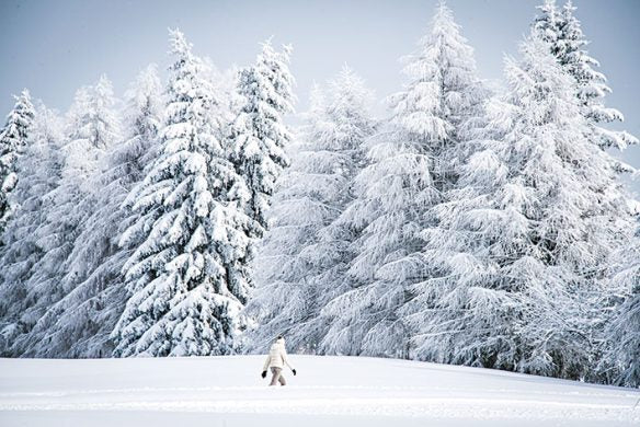 The Art of Skiing. Die schönsten Pisten der Welt
