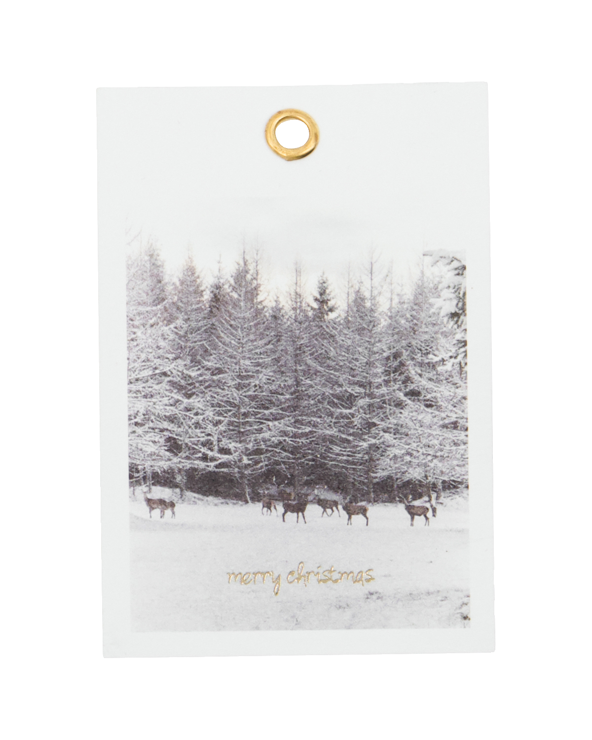 Geschenkanhänger Winter - 12er Set