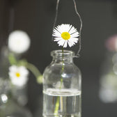 Mini Vase zum Aufhängen