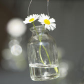 Mini Vase zum Aufhängen