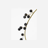 Ornament Stern - Schwarz