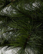 Weihnachtsbaum mit LED Lichtern Peuce - natur 150 cm