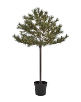 Weihnachtsbaum mit LED Lichtern Peuce - natur 150 cm