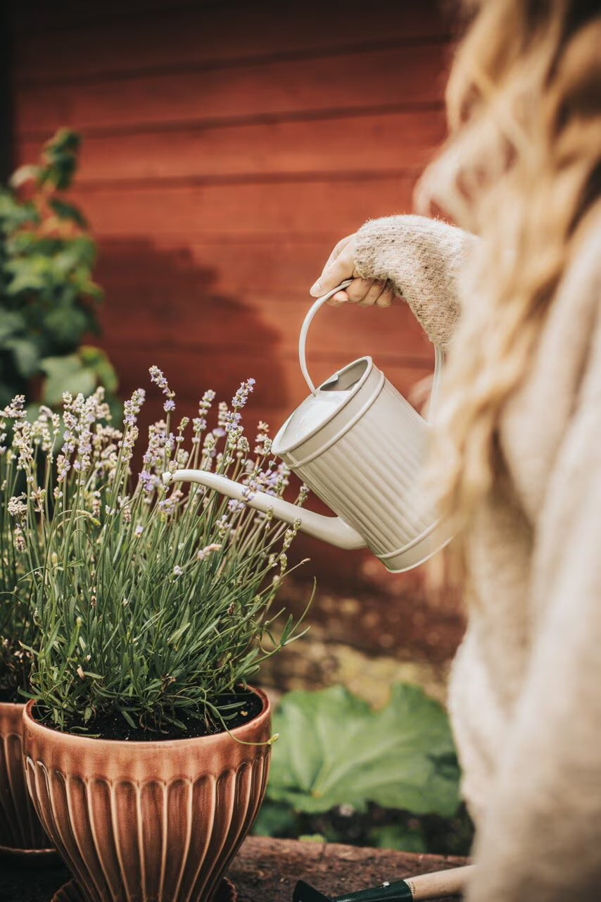 Gießkanne Hugo - beige 2 l