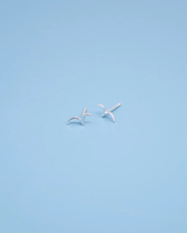 Ohrstecker Vogel - Silber