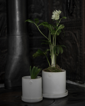 Blumentopf mit Untersetzer - Weiß Ø 10 cm