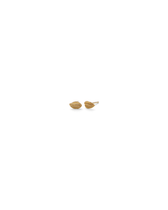 Elm Leaf Ohrstecker - Gold