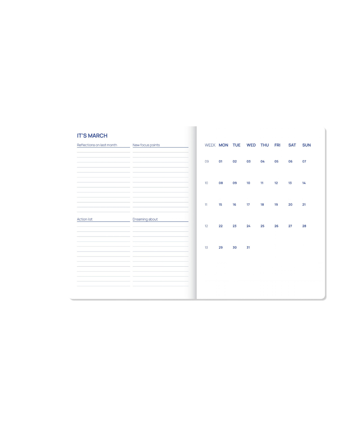 Kalender & Planer 2027 – Blaue Blumen