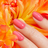 Nagellack - Pulp