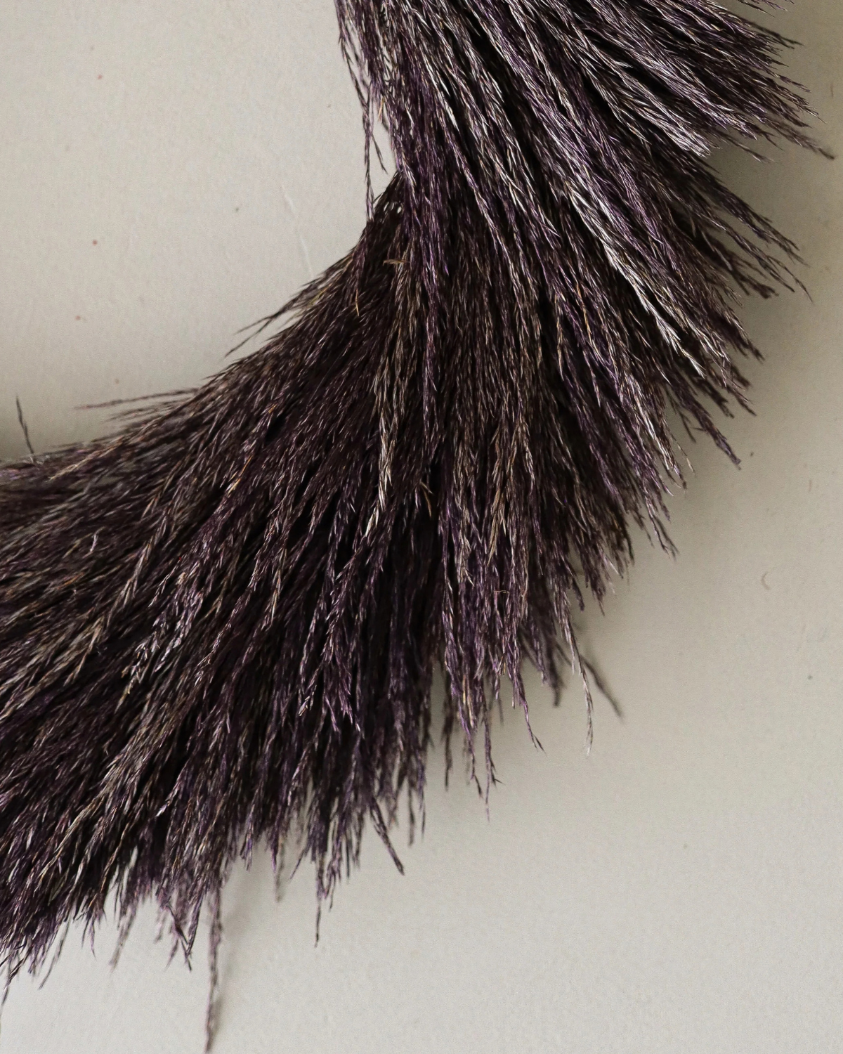 Kranz Pampasgras - Purple Pampas Grass Wreath (Ø 40 cm)