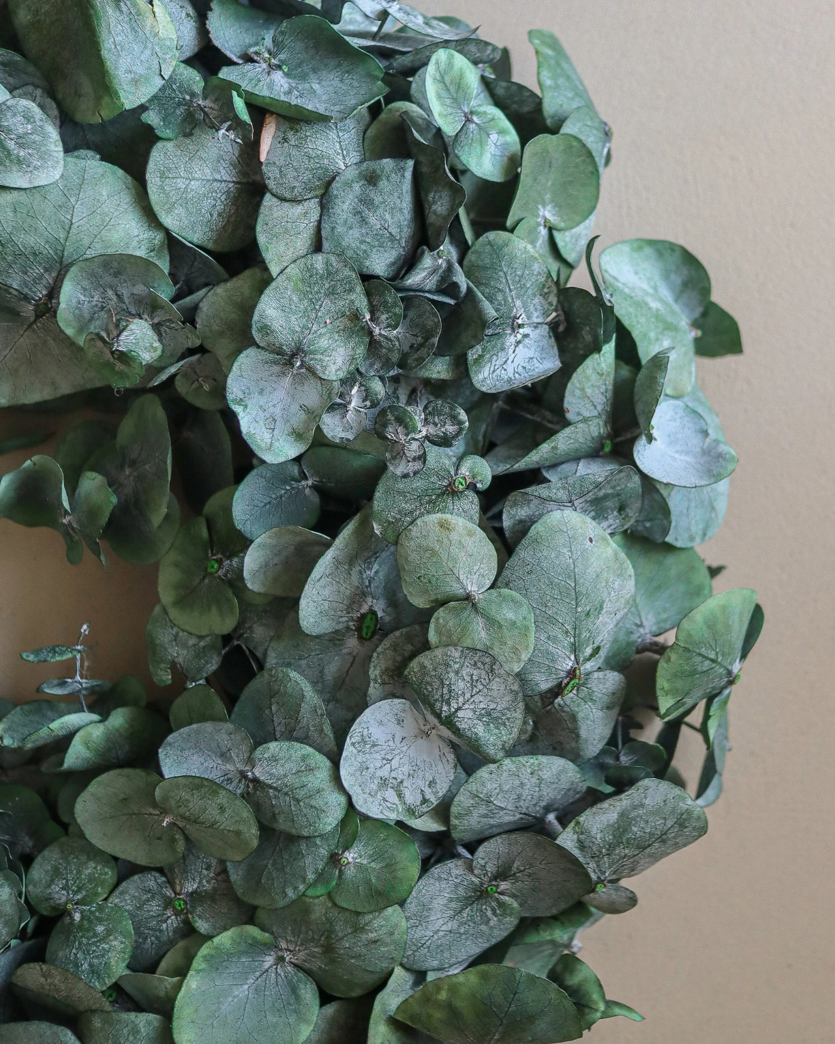Kranz Eukalyptus - Dusty Green Eucalyptus Wreath (Ø 40 cm)