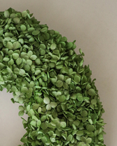 Kranz Hortensien - Green Hydrangea Wreath (Ø 40 cm)
