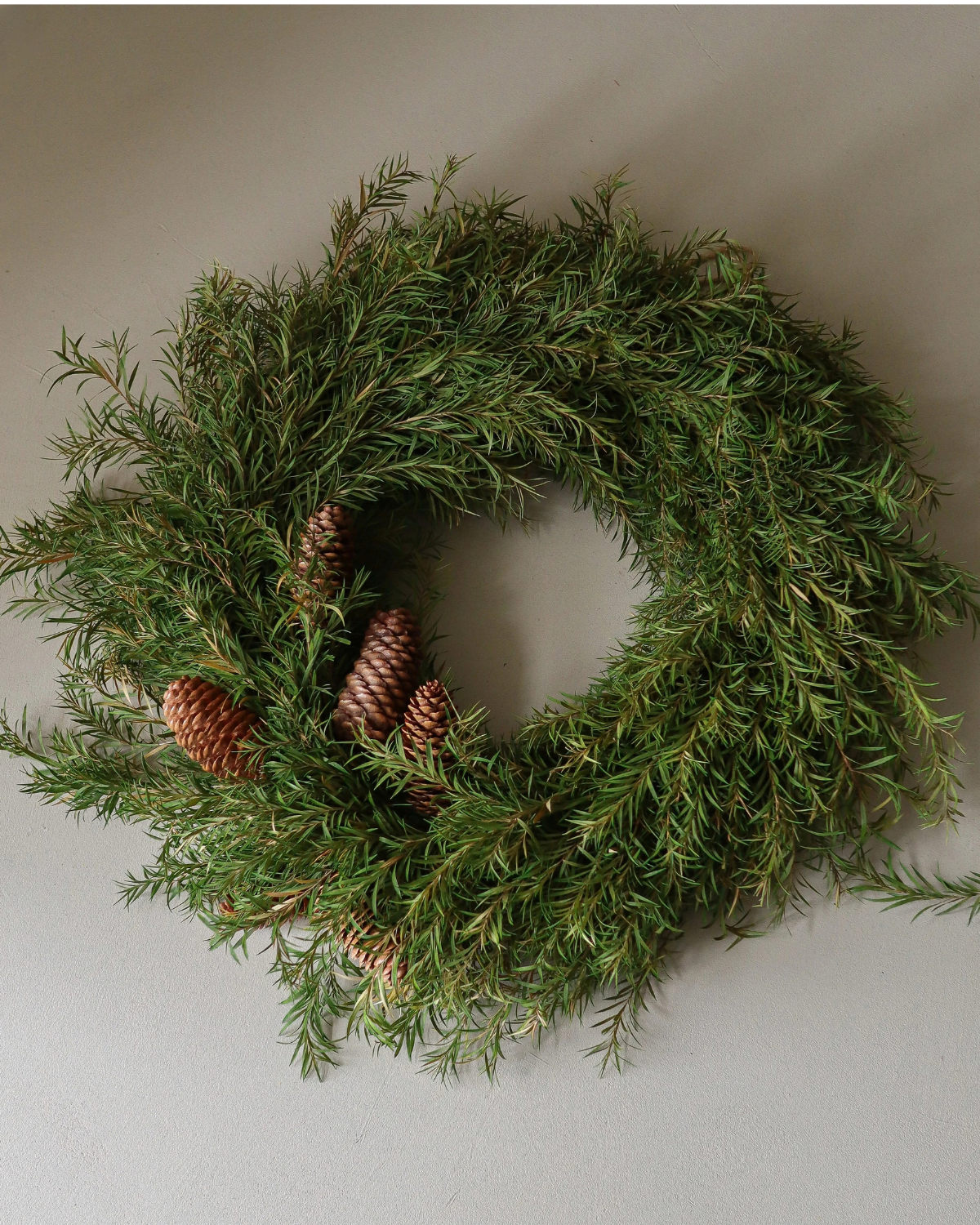 Kranz Kiefer - Evergreen Pine Wreath (Ø 40 cm)