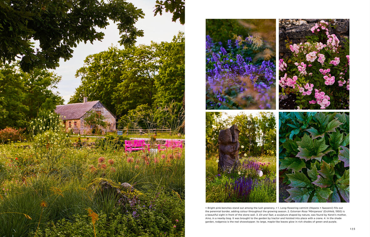 Island Gardens - Englisch