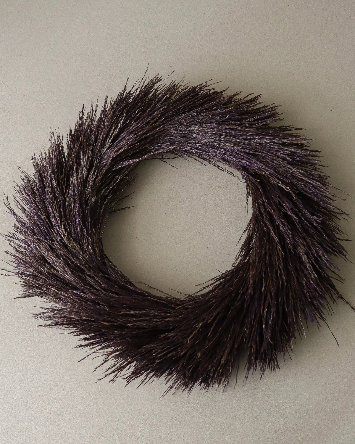 Kranz Pampasgras - Purple Pampas Grass Wreath (Ø 40 cm)