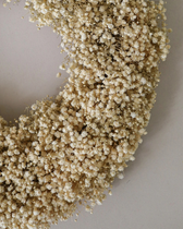Kranz Schleierkraut - Baby’s-Breath Wreath (Ø 40 cm)
