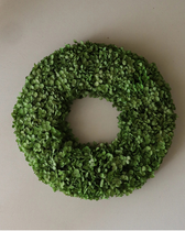 Kranz Hortensien - Green Hydrangea Wreath (Ø 40 cm)