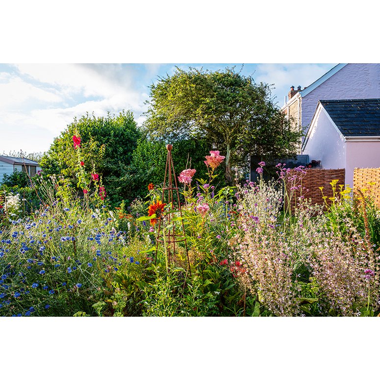 Ich träume von einem Cottage Garten. Verliebt in Rittersporn, Phlox & Fingerhut