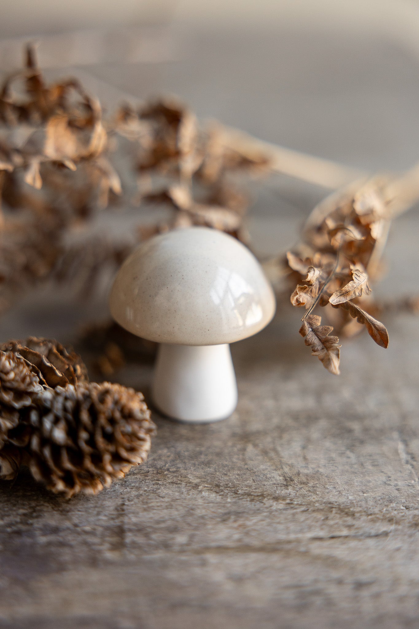 Deko-Pilz Bovik - beige